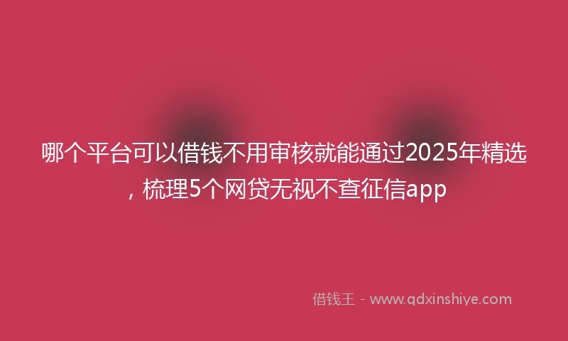 哪个平台可以借钱不用审核就能通过2025年精选，梳理5个网贷无视不查征信app