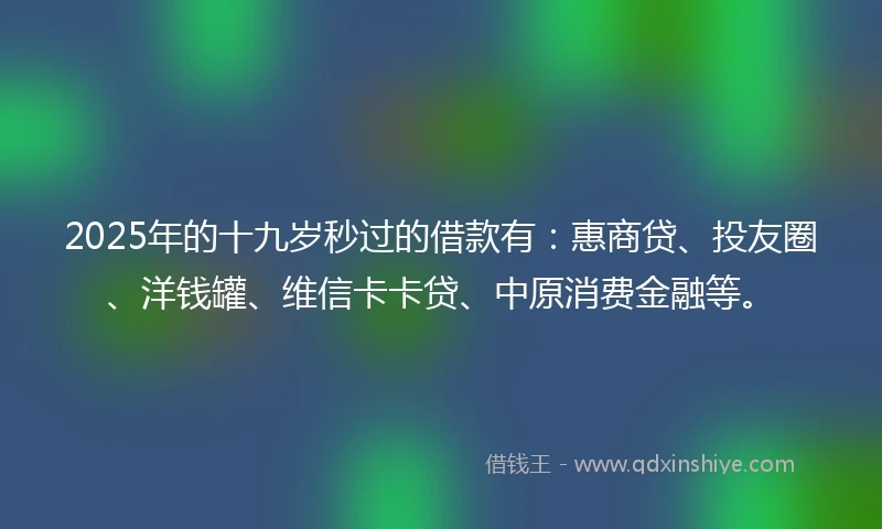 2025年的十九岁秒过的借款有：惠商贷、投友圈、洋钱罐、维信卡卡贷、中原消费金融等。