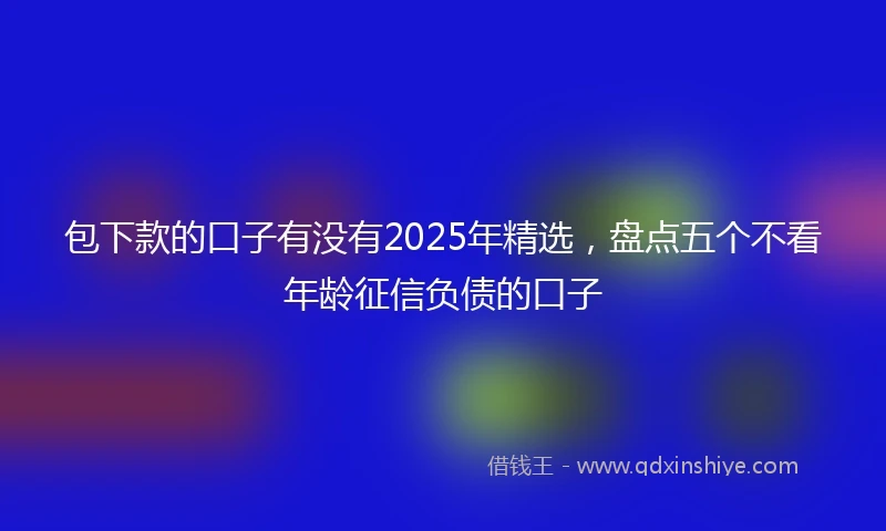 包下款的口子有没有2025年精选,盘点五个不看年龄征信负债的口子