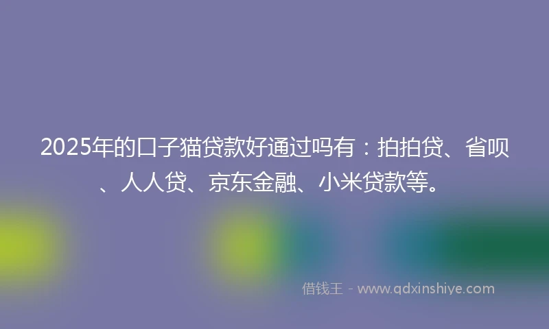2025年的口子猫贷款好通过吗有：拍拍贷、省呗、人人贷、京东金融、小米贷款等。