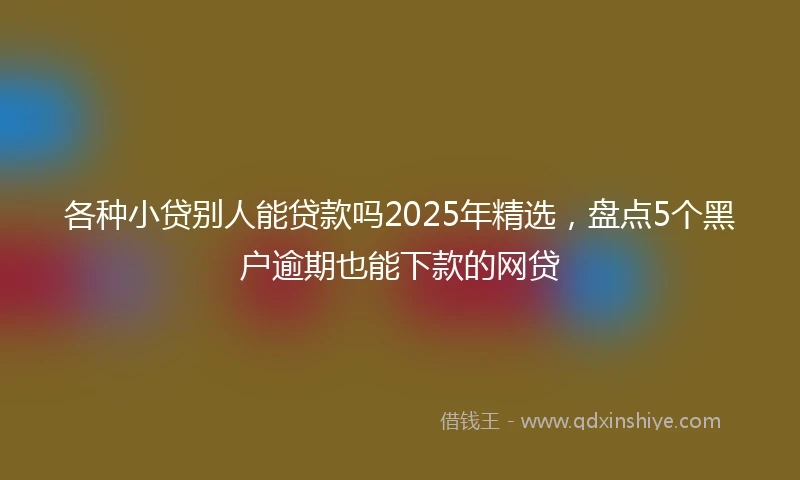 各种小贷别人能贷款吗2025年精选，盘点5个黑户逾期也能下款的网贷