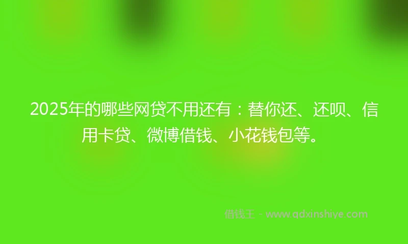 2025年的哪些网贷不用还有：替你还、还呗、信用卡贷、微博借钱、小花钱包等。