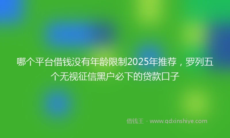 哪个平台借钱没有年龄限制2025年推荐，罗列五个无视征信黑户必下的贷款口子