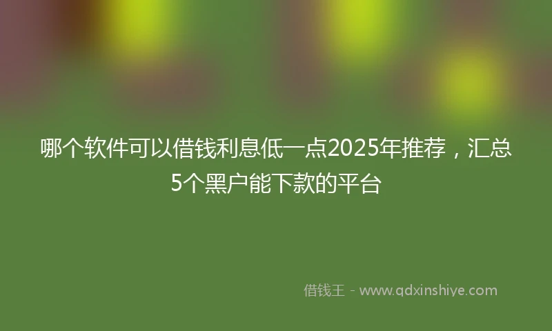 哪个软件可以借钱利息低一点2025年推荐，汇总5个黑户能下款的平台