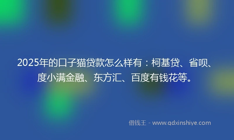 2025年的口子猫贷款怎么样有：柯基贷、省呗、度小满金融、东方汇、百度有钱花等。
