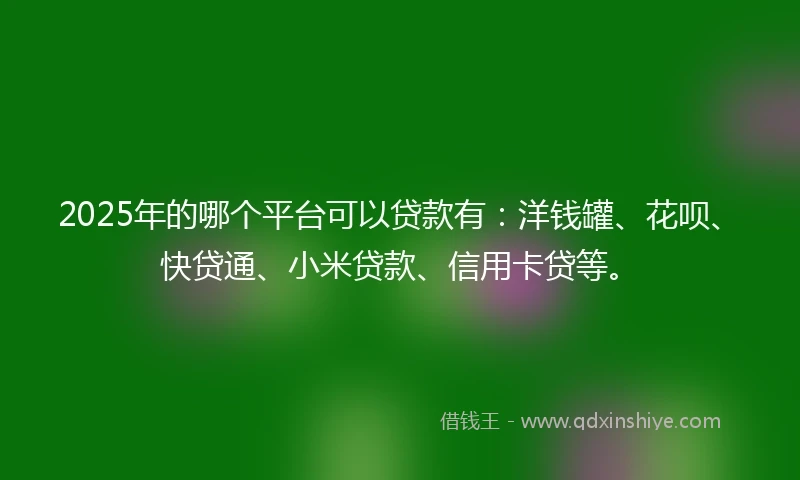 2025年的哪个平台可以贷款有:洋钱罐、花呗、快贷通、小米贷款、信用卡贷等。