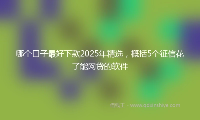 哪个口子最好下款2025年精选，概括5个征信花了能网贷的软件