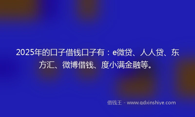 2025年的口子借钱口子有：e微贷、人人贷、东方汇、微博借钱、度小满金融等。