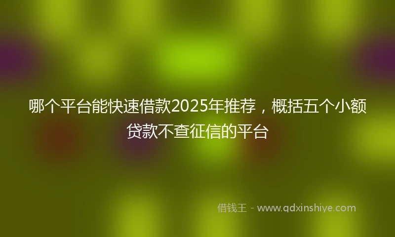 哪个平台能快速借款2025年推荐，概括五个小额贷款不查征信的平台