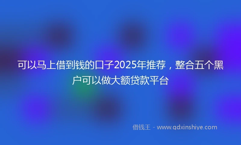 可以马上借到钱的口子2025年推荐,整合五个黑户可以做大额贷款平台