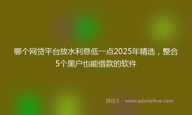 哪个网贷平台放水利息低一点2025年精选，整合5个黑户也能借款的软件