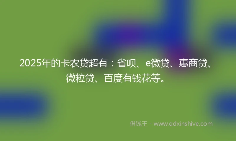 2025年的卡农贷超有：省呗、e微贷、惠商贷、微粒贷、百度有钱花等。