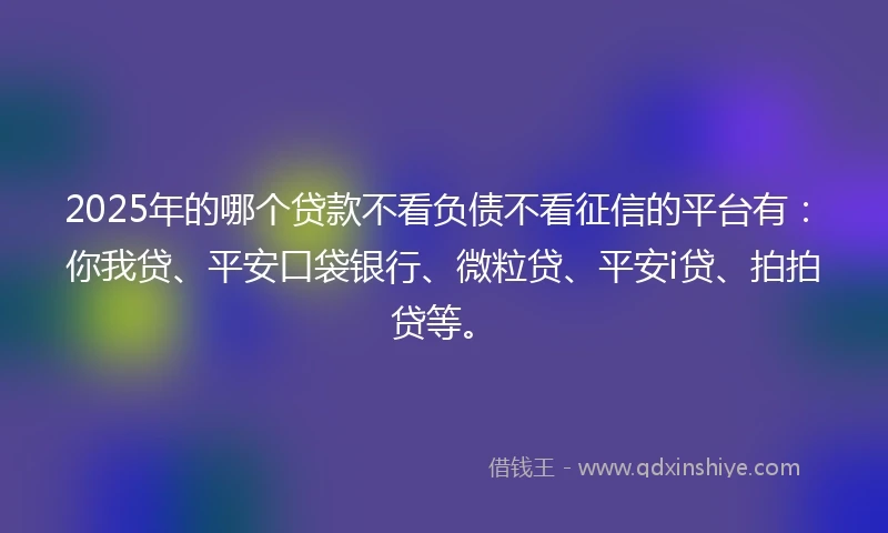 2025年的哪个贷款不看负债不看征信的平台有：你我贷、平安口袋银行、微粒贷、平安i贷、拍拍贷等。