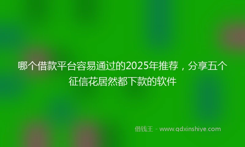 哪个借款平台容易通过的2025年推荐，分享五个征信花居然都下款的软件