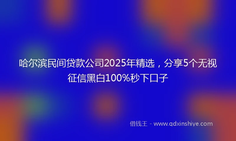 哈尔滨民间贷款公司2025年精选，分享5个无视征信黑白100%秒下口子