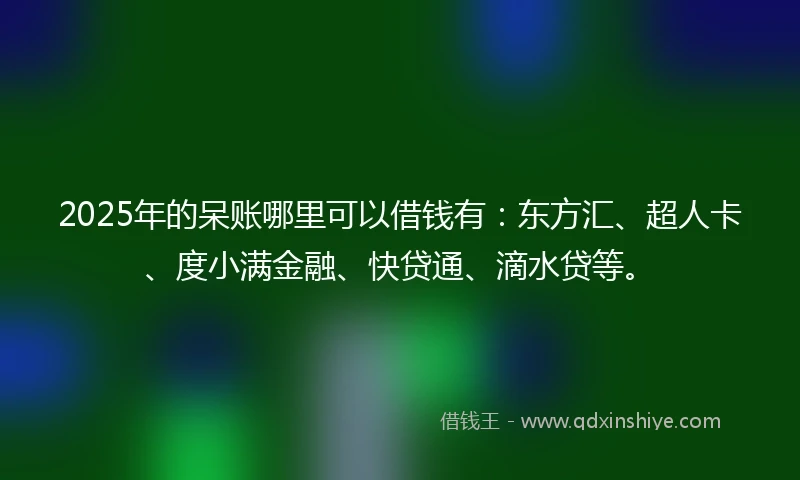 2025年的呆账哪里可以借钱有：东方汇、超人卡、度小满金融、快贷通、滴水贷等。