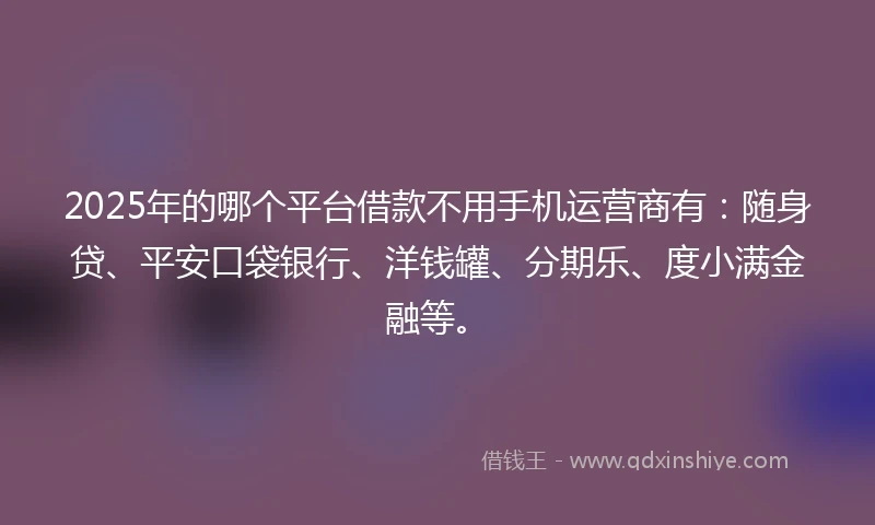 2025年的哪个平台借款不用手机运营商有：随身贷、平安口袋银行、洋钱罐、分期乐、度小满金融等。