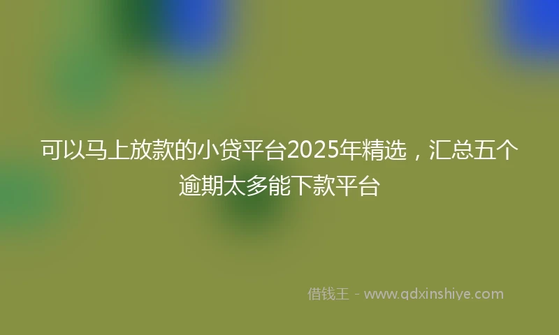 可以马上放款的小贷平台2025年精选，汇总五个逾期太多能下款平台