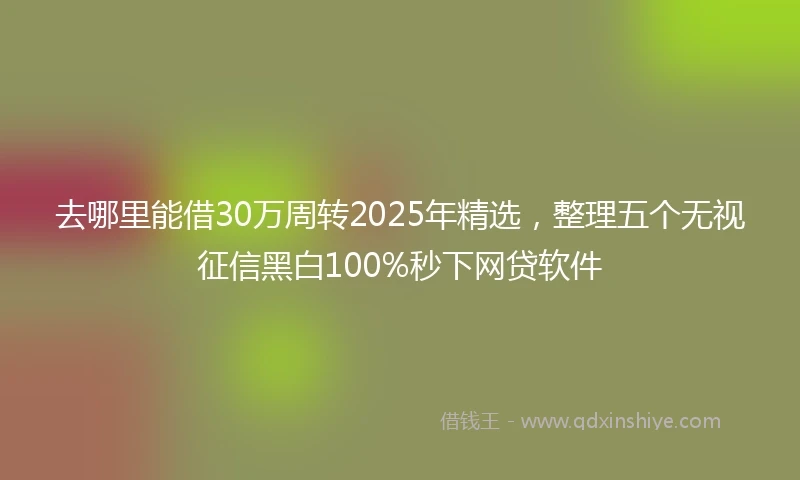 去哪里能借30万周转2025年精选，整理五个无视征信黑白100%秒下网贷软件