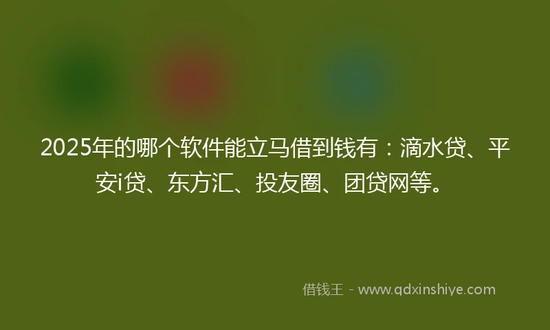 2025年的哪个软件能立马借到钱有：滴水贷、平安i贷、东方汇、投友圈、团贷网等。