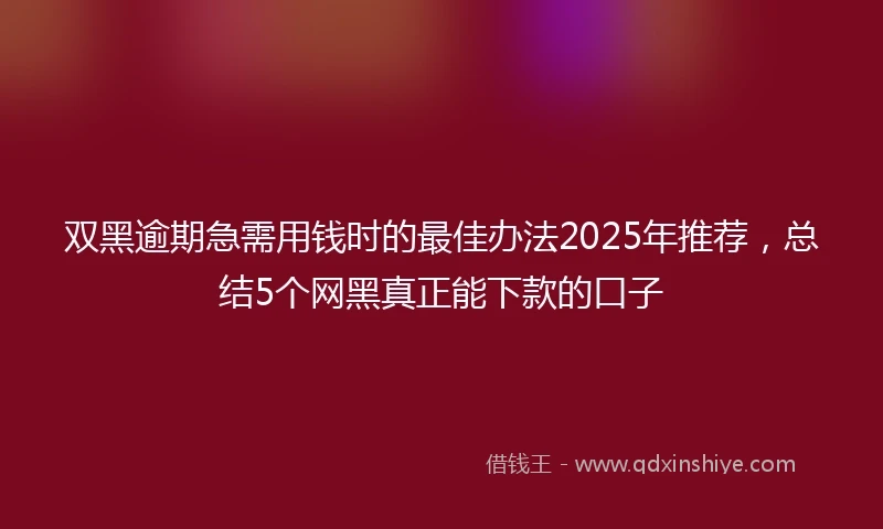 双黑逾期急需用钱时的最佳办法2025年推荐，总结5个网黑真正能下款的口子
