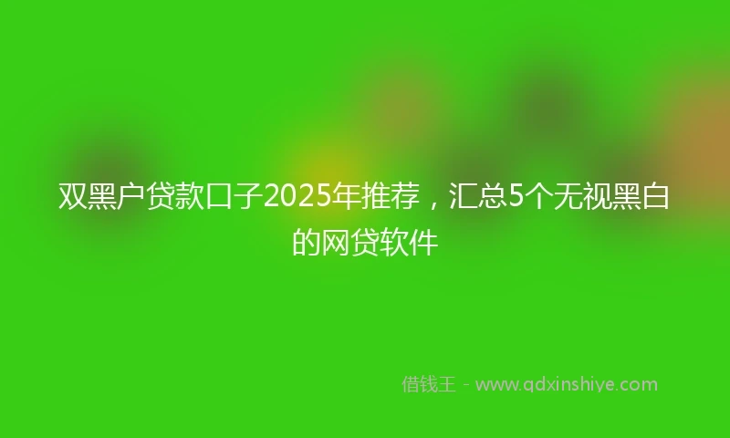 双黑户贷款口子2025年推荐，汇总5个无视黑白的网贷软件