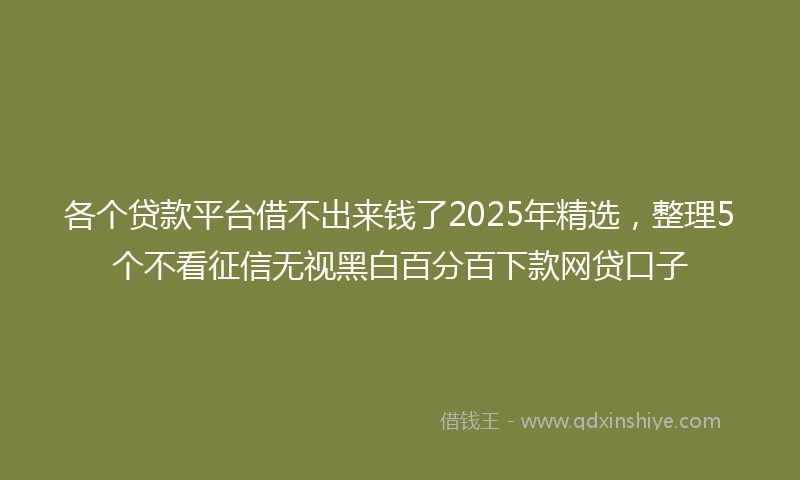 各个贷款平台借不出来钱了2025年精选,整理5个不看征信无视黑白百分百下款网贷口子