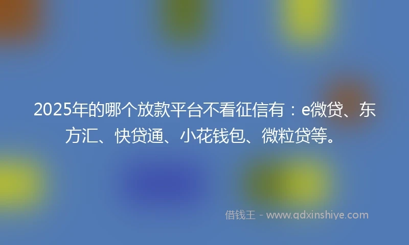 2025年的哪个放款平台不看征信有：e微贷、东方汇、快贷通、小花钱包、微粒贷等。