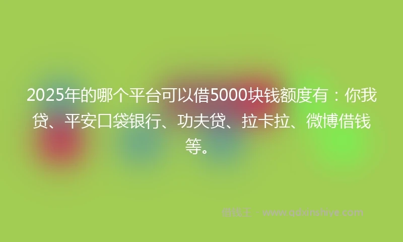 2025年的哪个平台可以借5000块钱额度有：你我贷、平安口袋银行、功夫贷、拉卡拉、微博借钱等。