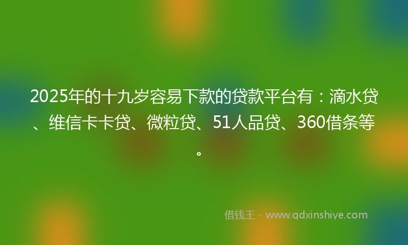 2025年的十九岁容易下款的贷款平台有：滴水贷、维信卡卡贷、微粒贷、51人品贷、360借条等。