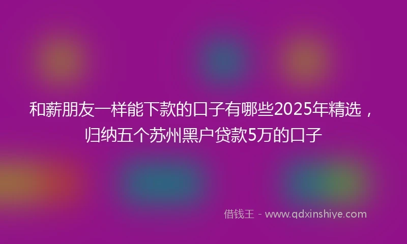 和薪朋友一样能下款的口子有哪些2025年精选，归纳五个苏州黑户贷款5万的口子