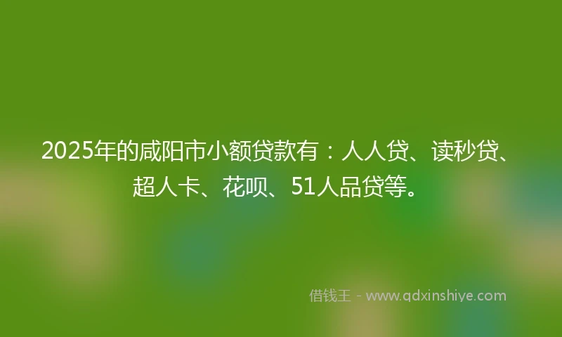2025年的咸阳市小额贷款有：人人贷、读秒贷、超人卡、花呗、51人品贷等。