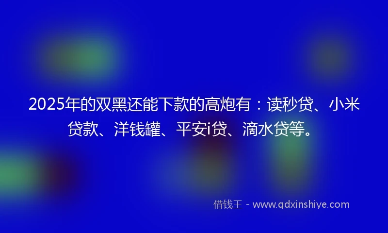 2025年的双黑还能下款的高炮有：读秒贷、小米贷款、洋钱罐、平安i贷、滴水贷等。