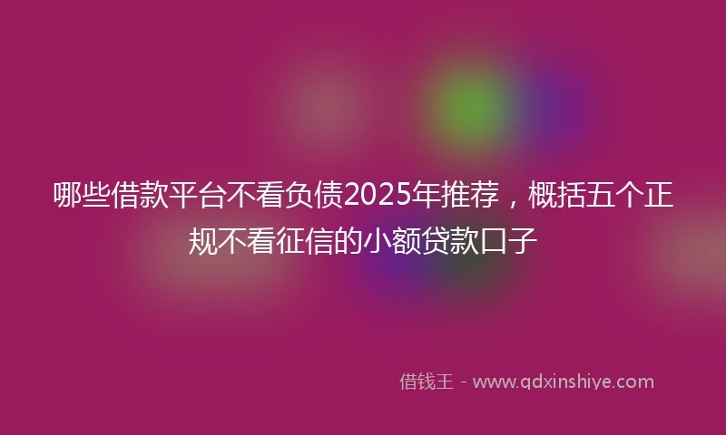哪些借款平台不看负债2025年推荐，概括五个正规不看征信的小额贷款口子