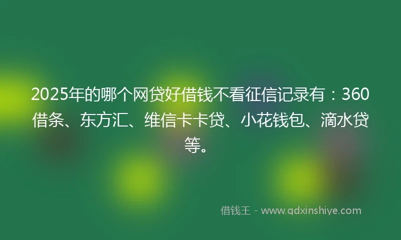 2025年的哪个网贷好借钱不看征信记录有：360借条、东方汇、维信卡卡贷、小花钱包、滴水贷等。
