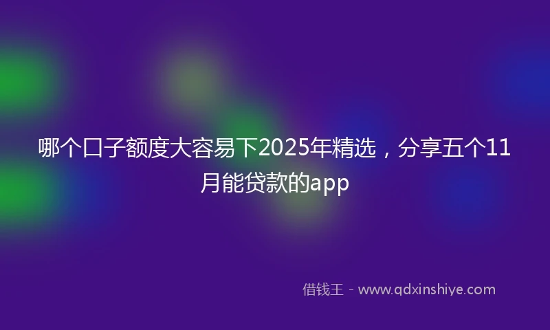 哪个口子额度大容易下2025年精选，分享五个11月能贷款的app