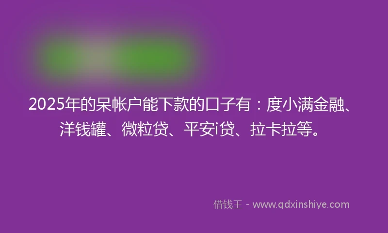 2025年的呆帐户能下款的口子有：度小满金融、洋钱罐、微粒贷、平安i贷、拉卡拉等。