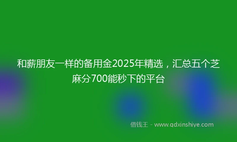 和薪朋友一样的备用金2025年精选，汇总五个芝麻分700能秒下的平台