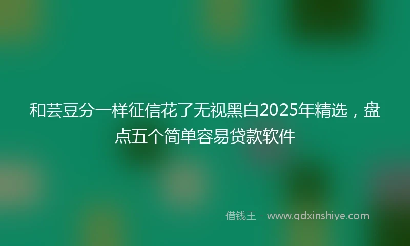 和芸豆分一样征信花了无视黑白2025年精选，盘点五个简单容易贷款软件