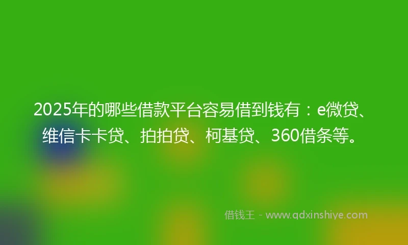 2025年的哪些借款平台容易借到钱有：e微贷、维信卡卡贷、拍拍贷、柯基贷、360借条等。