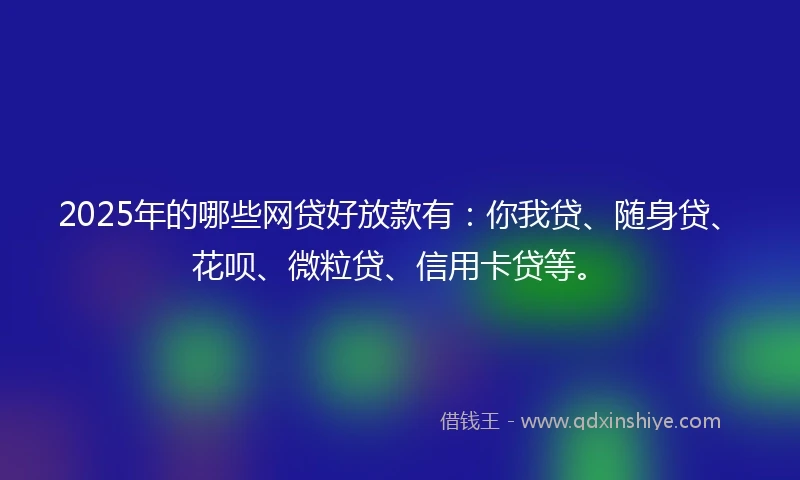 2025年的哪些网贷好放款有：你我贷、随身贷、花呗、微粒贷、信用卡贷等。