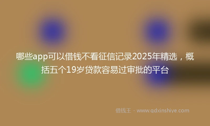 哪些app可以借钱不看征信记录2025年精选，概括五个19岁贷款容易过审批的平台