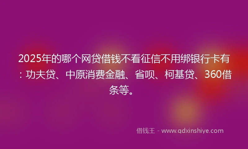2025年的哪个网贷借钱不看征信不用绑银行卡有：功夫贷、中原消费金融、省呗、柯基贷、360借条等。