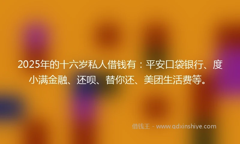 2025年的十六岁私人借钱有：平安口袋银行、度小满金融、还呗、替你还、美团生活费等。