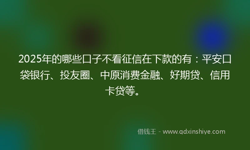 2025年的哪些口子不看征信在下款的有：平安口袋银行、投友圈、中原消费金融、好期贷、信用卡贷等。
