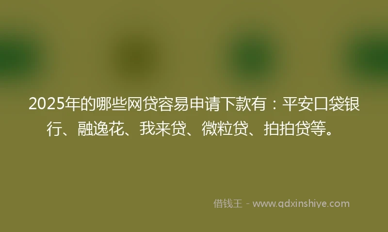 2025年的哪些网贷容易申请下款有：平安口袋银行、融逸花、我来贷、微粒贷、拍拍贷等。