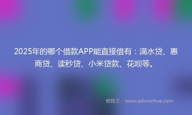 2025年的哪个借款APP能直接借有：滴水贷、惠商贷、读秒贷、小米贷款、花呗等。