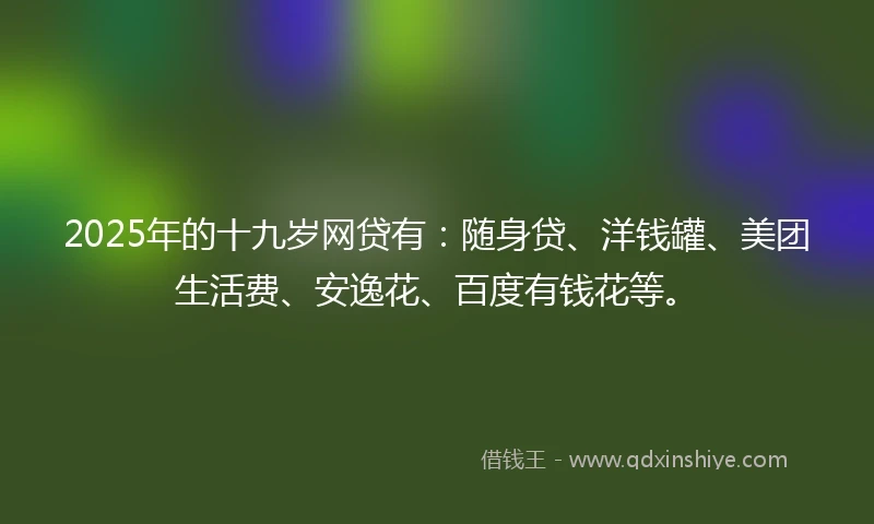 2025年的十九岁网贷有：随身贷、洋钱罐、美团生活费、安逸花、百度有钱花等。