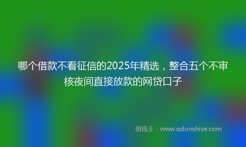 哪个借款不看征信的2025年精选，整合五个不审核夜间直接放款的网贷口子