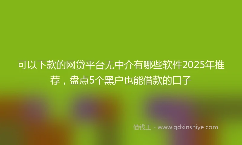 可以下款的网贷平台无中介有哪些软件2025年推荐，盘点5个黑户也能借款的口子